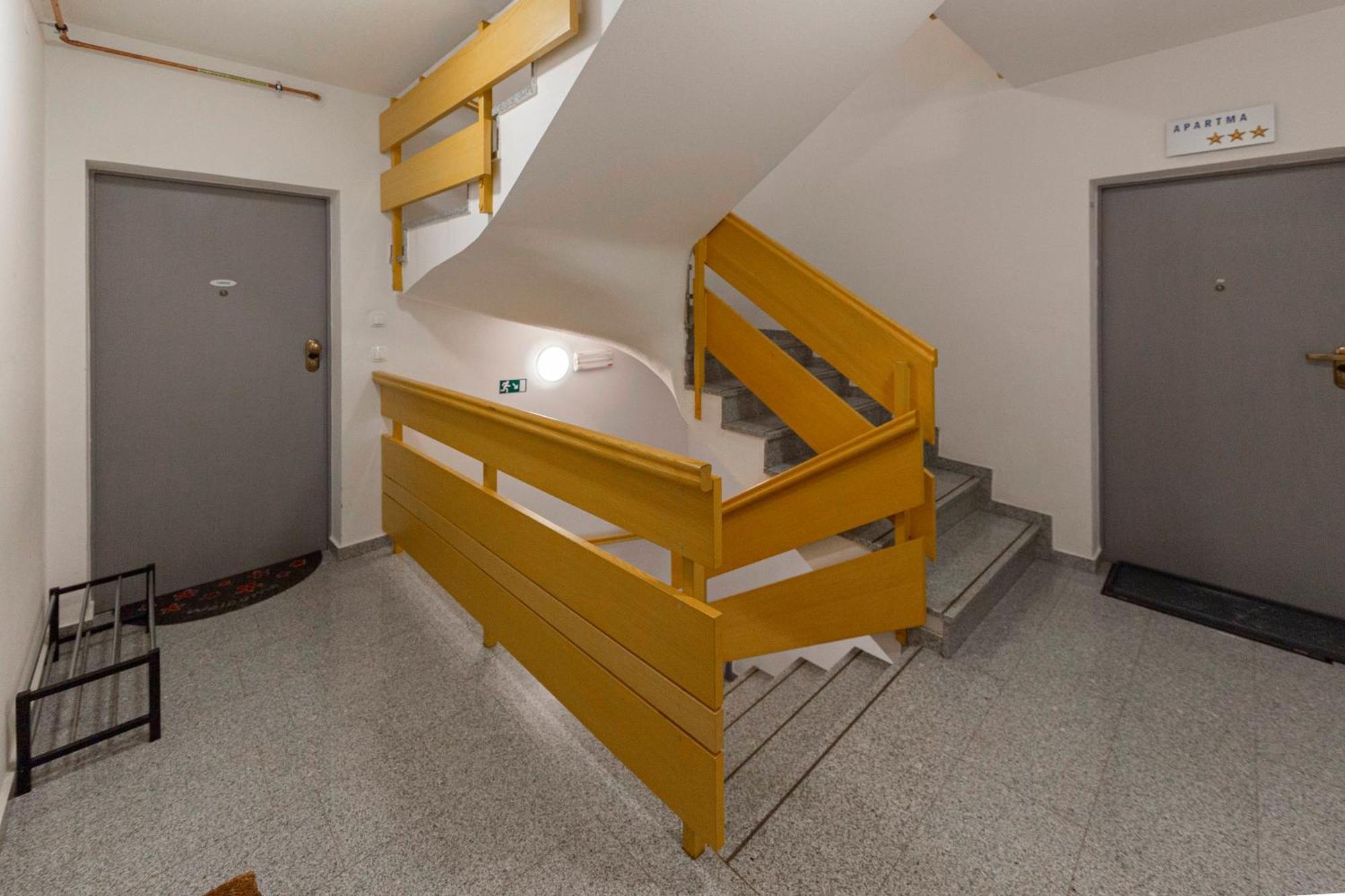 בוהין Timber Apartment מראה חיצוני תמונה